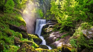 Ein Wasserfall in einem sonnigen Wald mit grünen Bäumen und Moos.