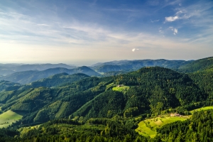 Blick auf bewaldete Hügel und Täler unter blauem Himmel.