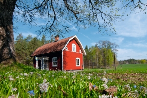 Rotes Landhaus auf Wiese, umgeben von Bäumen und blühenden Blumen.