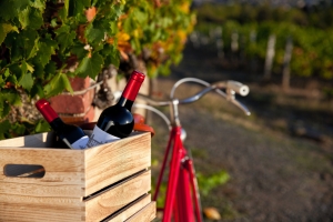 Weinkiste mit zwei Weinflaschen vor einem Fahrrad in einem Weinberg.