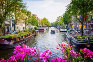 Ein Kanal in Amsterdam, umgeben von traditionellen niederländischen Häusern und grünen Bäumen, mit Booten auf dem Wasser und rosa Blumen im Vordergrund. Der Himmel ist blau.