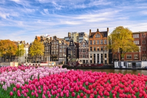 Amsterdam im Frühling mit bunten Tulpen im Vordergrund und den Grachten sowie traditionellen Gebäuden im Hintergrund.