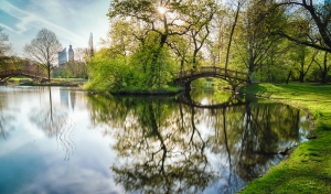 Parklandschaft mit Teich, Brücke und Bäumen bei Sonnenschein.