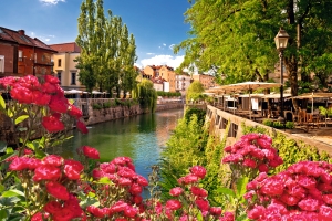 Blumen vor einem Kanal mit Cafés und Bäumen im Hintergrund an einem sonnigen Tag.