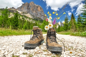 Wanderschuhe auf Kiesweg mit Blumen, Bergkulisse im Hintergrund.