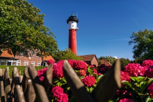 Roter Leuchtturm hinter blühenden Hortensien bei klarem Himmel.