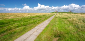 Weg durch grüne Wiesen mit strohgedeckten Häusern am Horizont unter blauem Himmel.