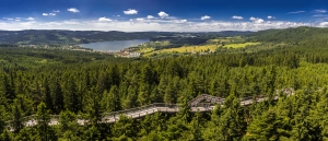 Waldlandschaft mit Spazierweg und Blick auf einen See und Hügel.