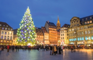 Großer beleuchteter Weihnachtsbaum auf einem Platz vor historischen Gebäuden in der Abenddämmerung.
