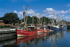 Fischkutter im Kutterhafen von Dithmarschen, am Steg festgemacht bei klarem Himmel.