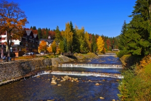 Fluss mit kleinen Wasserfällen im Herbstwald neben Gebäuden und Bäumen.