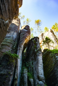 Blick von unten auf hohe, bewachsene Sandsteinfelsen und blauen Himmel.