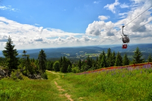 Seilbahn über einem grünen, hügeligen Landschaftspanorama mit Nadelbäumen und blauem Himmel.