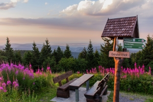 Holztisch mit Bänken und Wegweiser vor Wald- und Berglandschaft im Sonnenuntergang.