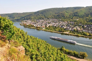 Ortsansicht von Winningen mit einem Flusskreuzfahrtschiff auf der Mosel, im Vordergrund Weinberge.