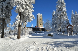 Schneebedeckter Aussichtsturm umgeben von verschneiten Bäumen bei klarem Himmel.