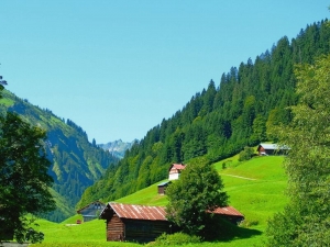 Almhütten auf grünen Wiesen vor Wald und Bergen im Kleinwalsertal bei blauem Himmel