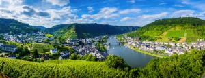 Panorama einer Stadt an einem Fluss mit umliegenden Weinbergen und bewaldeten Hügeln.