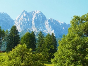 Berggipfel der Zugspitze mit grünen Tannen im Vordergrund unter blauem Himmel.