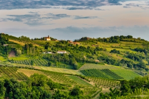 Hügellandschaft mit Weinbergen und kleinen Gebäuden unter bewölktem Himmel.