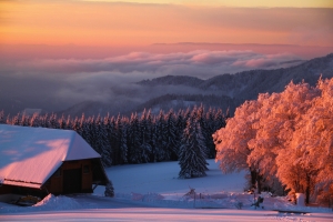 Verschneite Landschaft bei Sonnenuntergang, mit Bäumen und einem Haus im Hintergrund.