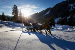 Pferdeschlitten im Schnee, von Bergen und Bäumen umgeben, Sonnenaufgang im Hintergrund.