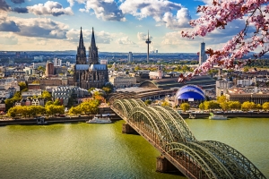 Blick auf den Kölner Dom und die Hohenzollernbrücke in Köln mit blühenden Zweigen im Vordergrund.