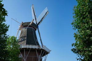 Windmühle vor blauem Himmel und grünen Bäumen