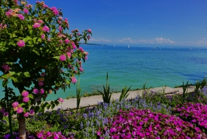Blumeninsel Mainau am Bodensee mit bunten Blumen im Vordergrund und Blick auf das Wasser.