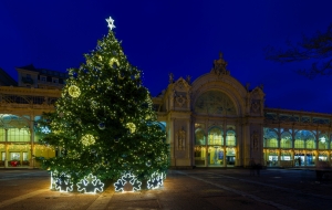 Beleuchteter Weihnachtsbaum vor historischer Gebäudeansicht bei Nacht