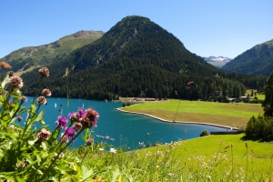 Bergsee mit Wiesen, Blumen und Wald vor Bergkulisse bei klarem Himmel im Sommer.