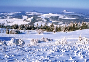 Schneebedeckte Landschaft mit Hügeln und Tannenbäumen unter klarem blauen Himmel.
