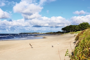 Sandstrand mit Wellen, Möwen und bewölktem Himmel.