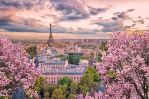 Blick auf Paris mit Eiffelturm und blühenden Kirschbäumen im Vordergrund.