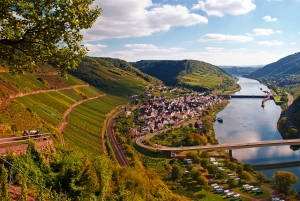 Blick auf einen Fluss mit umliegenden Weinbergen und einem Dorf in der Nähe.