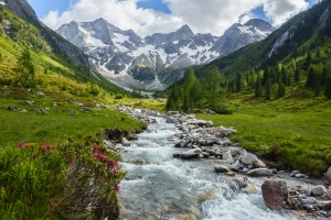 Berglandschaft mit Flusslauf, grüner Wiese und schneebedeckten Gipfeln im Hintergrund.