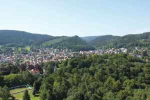 Stadt Friedrichroda mit bewaldeten Hügeln im Hintergrund.