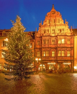 Beleuchteter Weihnachtsbaum vor historischem Gebäude bei Abenddämmerung.