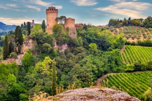Alte Burg auf einem Hügel inmitten grüner Landschaft und Weinbergen.