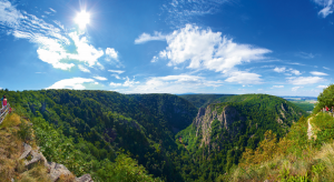 Panorama einer bewaldeten Schlucht unter blauem Himmel mit der Sonne.
