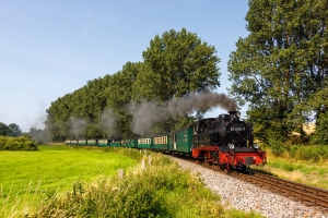 Dampflok mit grünen Waggons fährt durch grüne Landschaft.