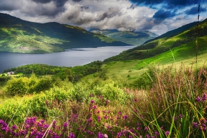Landschaft mit See, grünen Hügeln und bunten Blumen unter bewölktem Himmel.