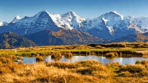 Schneebedeckte Berge unter blauem Himmel mit einem See und Gras im Vordergrund.