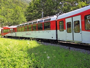 Ein roter Mont Blanc Express Zug fährt durch eine grüne, bewaldete Landschaft.