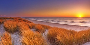 Sonnenuntergang am Strand mit goldgelbem Gras im Vordergrund und sanften Wellen im Hintergrund.
