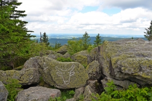 Felsen mit Tierzeichnung und Blick auf bewaldete Landschaft im Hintergrund.