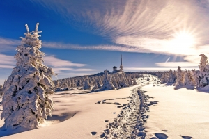 Verschneiter Wald mit Fußspuren und Fernmeldeturm unter blauem Himmel bei Sonnenschein.
